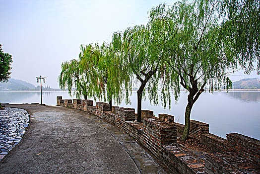 城墙,湖水,柳树
