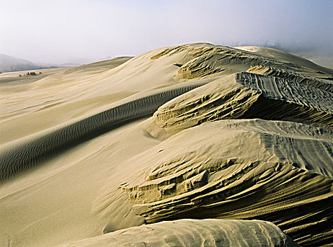 沙子,图案,风,湖岸,俄勒冈,美国