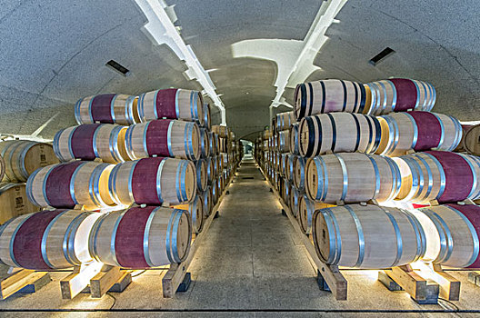 葡萄牙,山谷,酒窖,大幅,尺寸