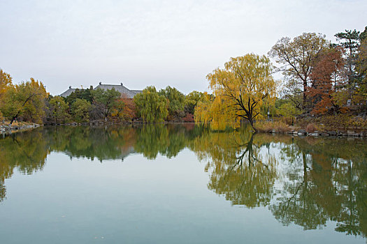 北京大学景色