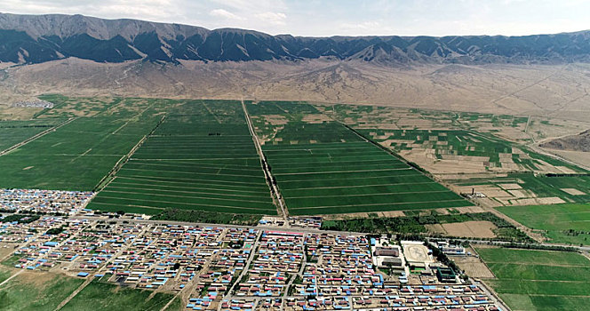 新疆巴里坤,航拍草原和农田,阡陌纵横如画