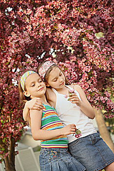 艾伯塔省,加拿大,两个女孩,拿着,花,树