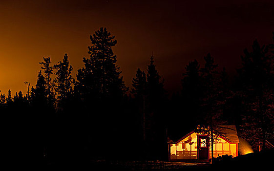 光亮,墙壁,帐蓬,小屋,营火,篝火,剪影,松树,靠近,育空地区,加拿大
