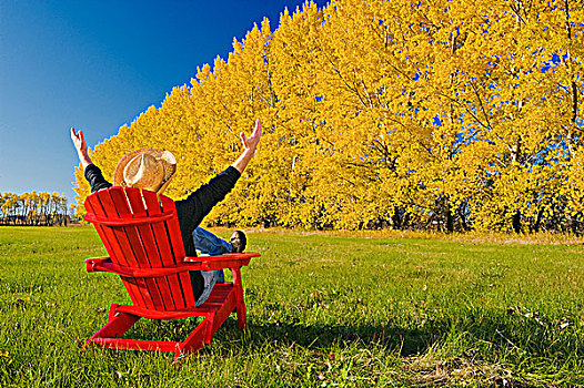一个,男人,坐,椅子,边缘,干草,土地,背景,靠近,曼尼托巴,加拿大