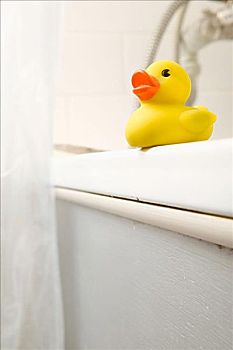橡皮鸭,紧张,浴室