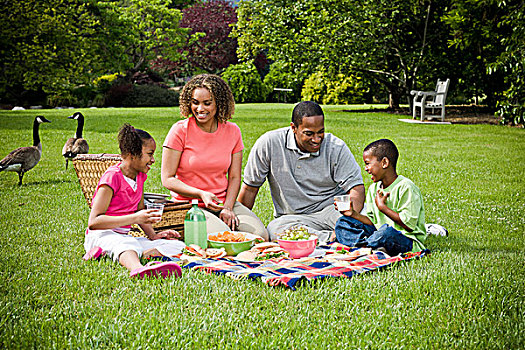 家庭,野餐