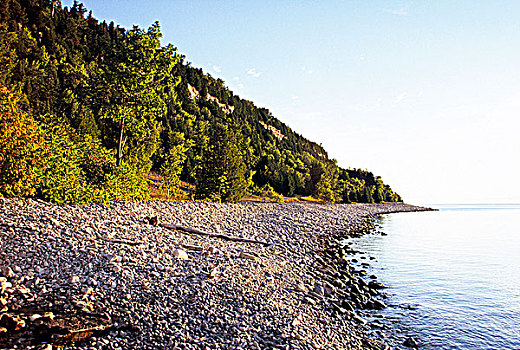 岩石,树林,乔治亚湾,湾,布鲁斯半岛,安大略省,加拿大