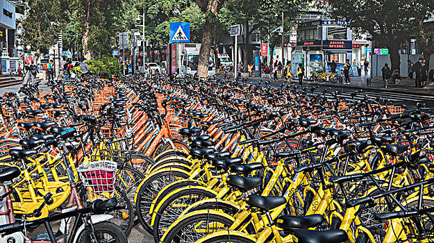 深圳,城市,自行车,站立