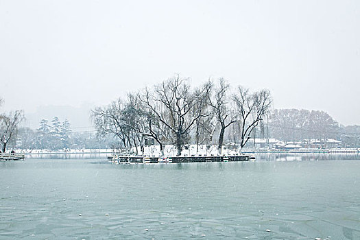 雪景