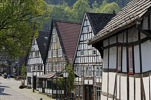 靠近,框架,乡村,北莱茵-威斯特伐利亚,德国