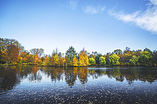秋日风光,湖,树,漂亮,秋色,黄色,橙色,秋天,秋叶,暗色,水
