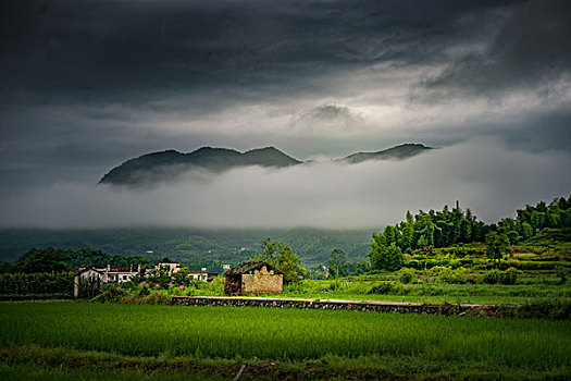 田园乡村自然风光