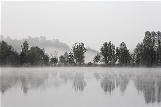 清晨,水塘