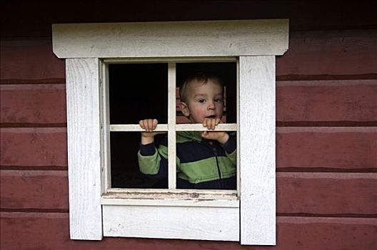 孩子,向外看,窗,瑞典