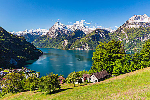 阿尔卑斯草甸,高处,乡村,正面,攀升,安静,积雪,瑞士