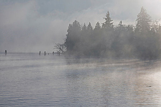 晨雾,弗雷泽河,港口,加拿大