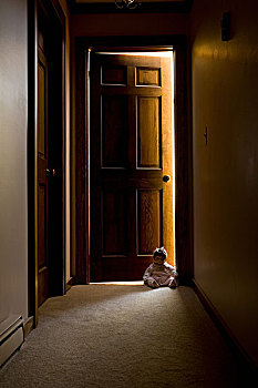 娃娃,坐,入口,走廊