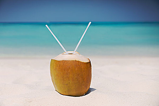 椰子,两个,吸管,晴朗,热带,海滩