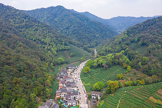 杭州西湖龙井茶产地梅家坞