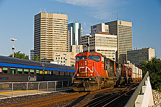 列车,运输,容器,市区,曼尼托巴,加拿大