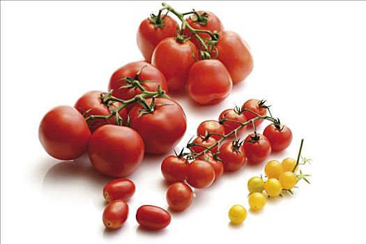 西红柿,品种,西红柿茎,犁形番茄,葡萄番茄,红色,黄色,圣女果