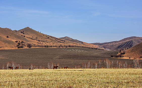 阿尔山