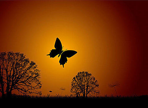 日落,自然,场景,蝴蝶,剪影,树