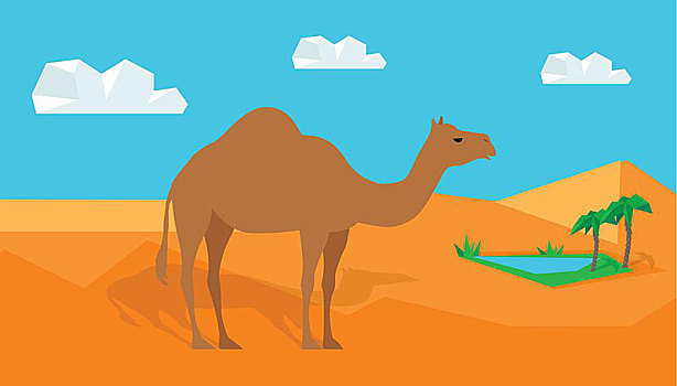 传统,东方,非洲,自然,创意,单峰骆驼,沙漠,绿洲,设计,矢量,旅行,概念,栖息地,异域风情,家养动物
