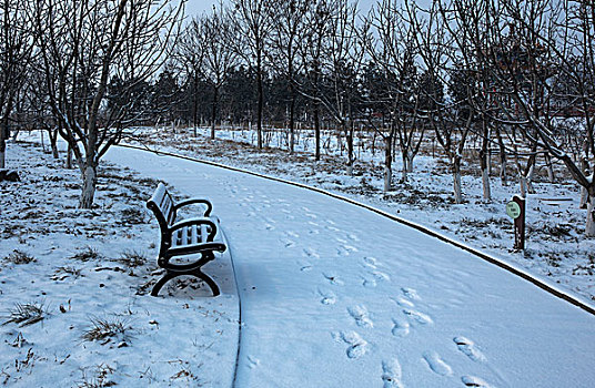 小雪