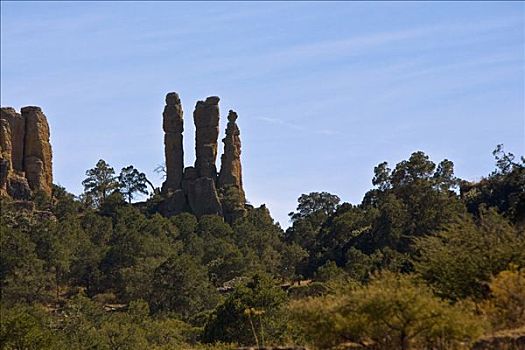 岩石构造,树林,萨卡特卡斯州,墨西哥