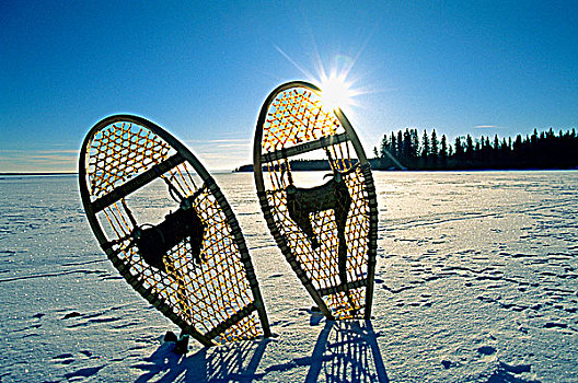 雪鞋,冰冻,北方,湖,加拿大