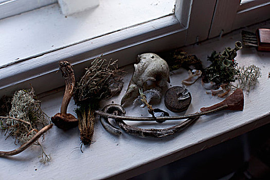 多样,干燥,植物,古器物,窗,窗台