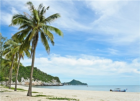 热带,沙滩,帽子,泰国