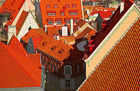 俯视,红色,屋顶,塔林,爱沙尼亚