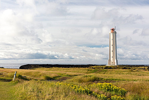 灯塔,斯奈山半岛,西部,冰岛,欧洲