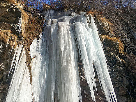 河南林州,黑龙潭140米高,圣诞树,冰瀑12月下旬形成似雪松