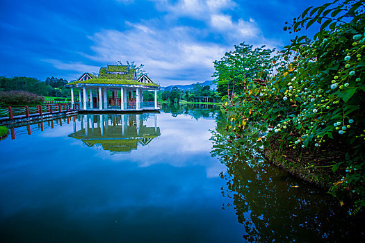 西双版纳中科院植物园