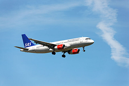 斯堪的纳维亚,空中客车,a320,客机,降落,靠近,机场,慕尼黑,上巴伐利亚,德国,欧洲
