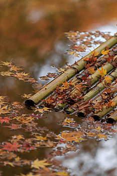 水面上的竹排和秋季的枫叶落叶