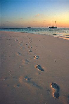 脚印,白沙,海岸线,日落