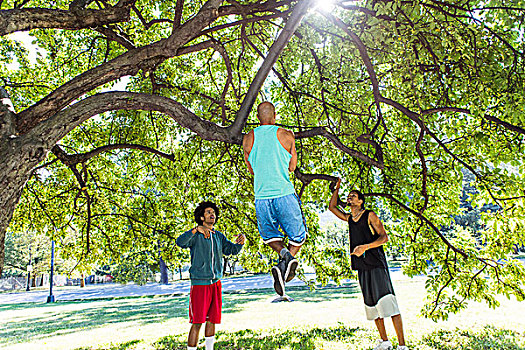 男青年,树上,公园,朋友