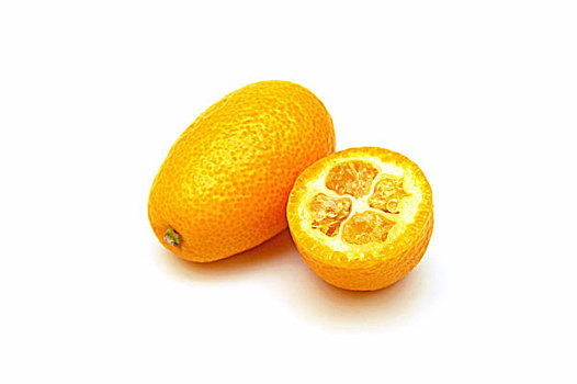 金橘,金桔属