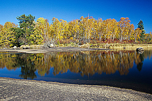 白贝,河,怀特雪尔省立公园,曼尼托巴,加拿大