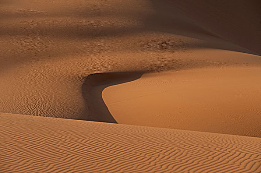 摩洛哥,却比沙丘,区域,撒哈拉沙漠,靠近,梅如卡,图案,黎明,沙丘