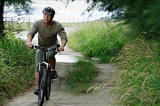 男人,骑自行车,自然,小路