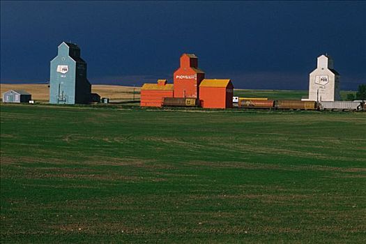 谷仓,蜀黍,艾伯塔省,加拿大