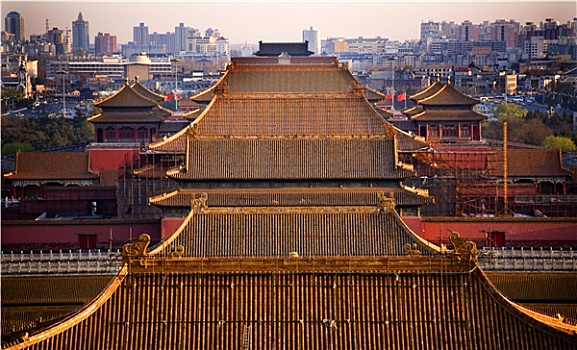 黄色,屋顶,故宫,北京,中国