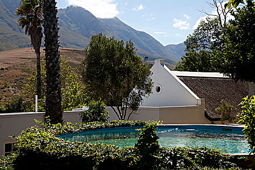 游泳池,围绕,常春藤,远眺,荷兰角,农舍,山,南非