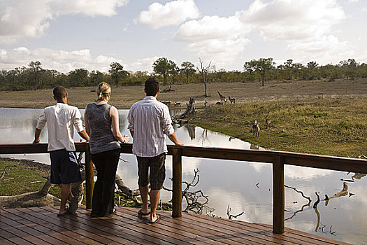 游客,狩猎小屋,南非