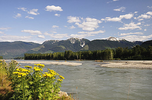 河,山脉,不列颠哥伦比亚省,加拿大